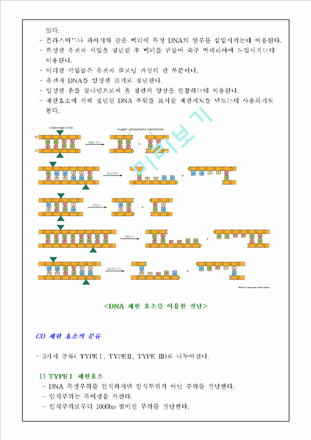 [레포트] [식물생리학]제한효소 DNA 절단과 전기영동법과 PCR에 의한 DNA분리 및 확인.hwp